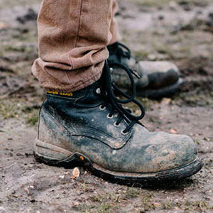 BOTAS